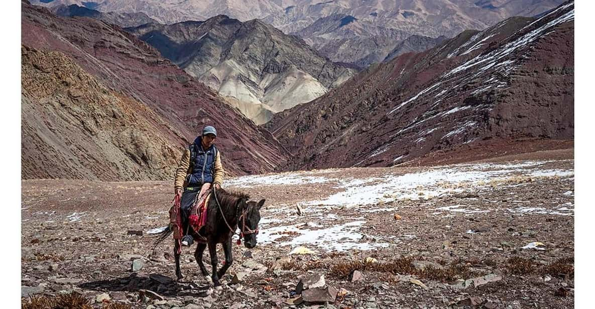 Family Langtang Valley Horseback Riding Trek - Frequently Asked Questions