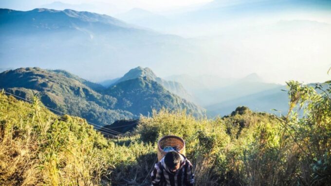 Fansipan Trek One Day Tour – Roof Of Indochina - What to Expect on the Trek