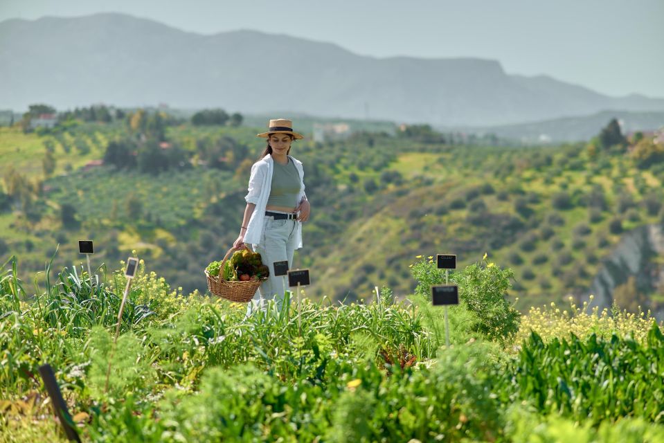 Farm Vegetables Tour & Salad Making - Languages & Location