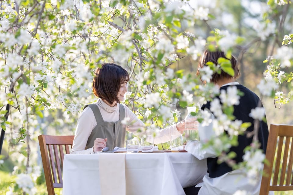 Fine Dining Experience Inside an Orchard in Nagano - Seasonal Considerations