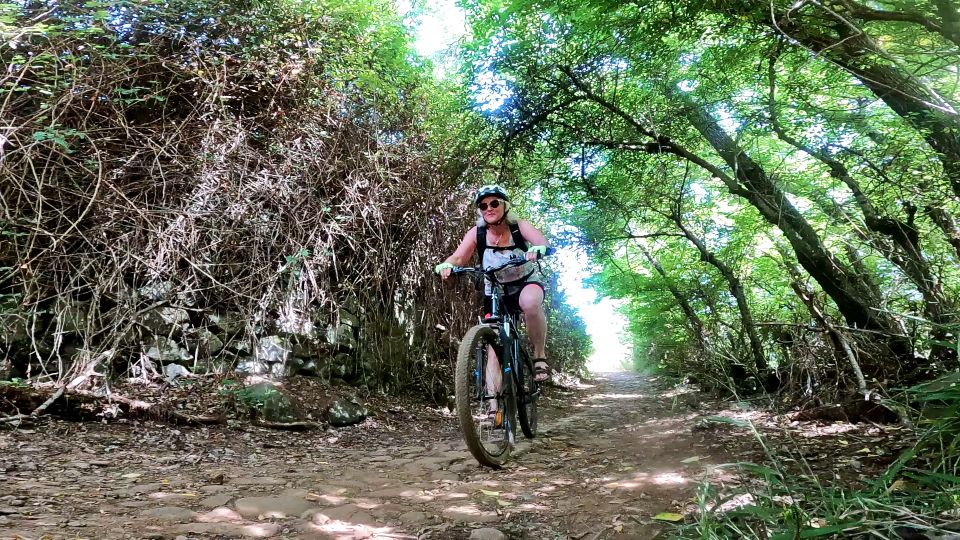 Firgas: Gran Canaria Forest Mountain Bike Tour - Booking and Cancellation