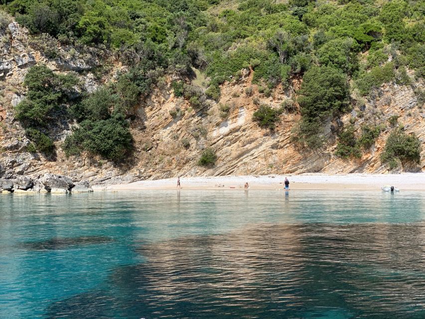 From Agia Efimia: Day Cruise to Ithaki Island With Lunch - Wildlife Observations