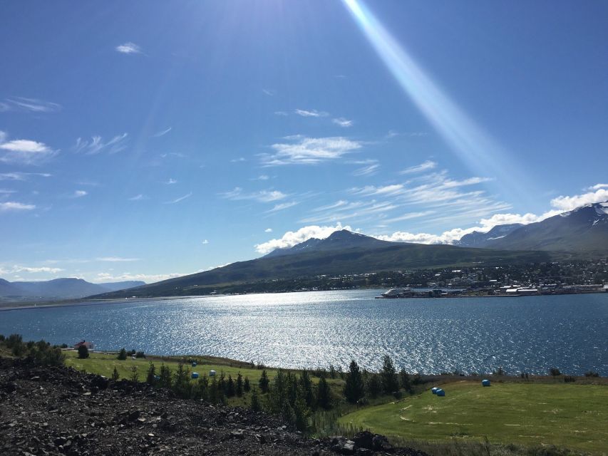 From Akureyri: Diamond Circle Guided Day Trip With Lunch - Customer Feedback