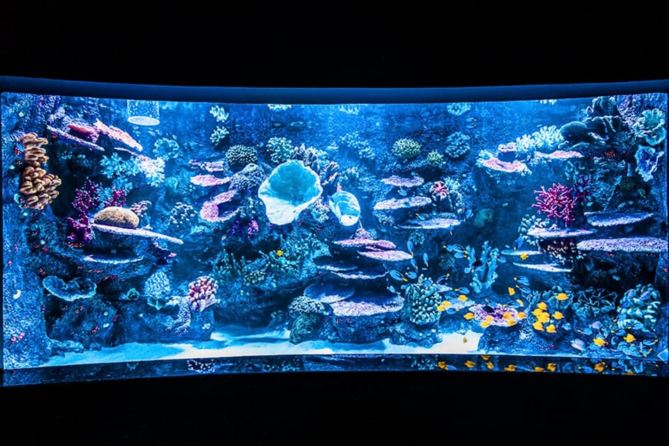 From Antalya All Region: Antalya Aquarium With Transfer - Booking Information