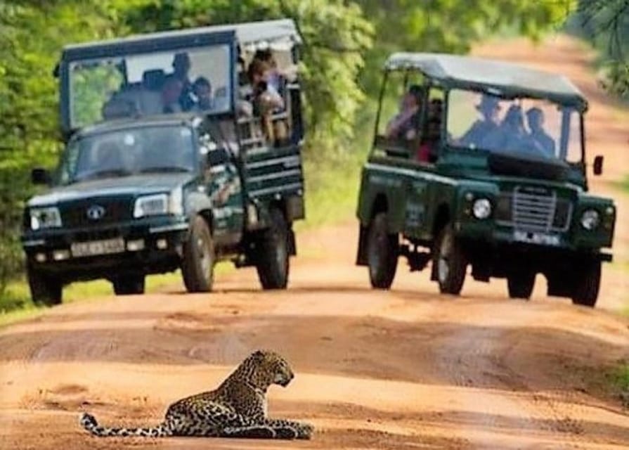 From Arugambay :- Yala National Park Safari Adventure - Safari Duration and Activities