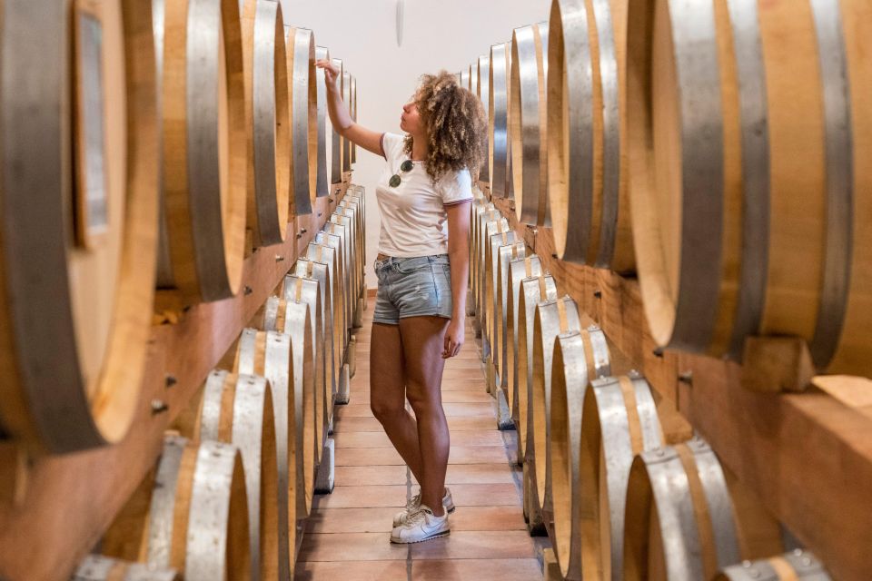 From Avignon: Avignon & Châteauneuf Du Pape Wine Tour - Tips for Travelers