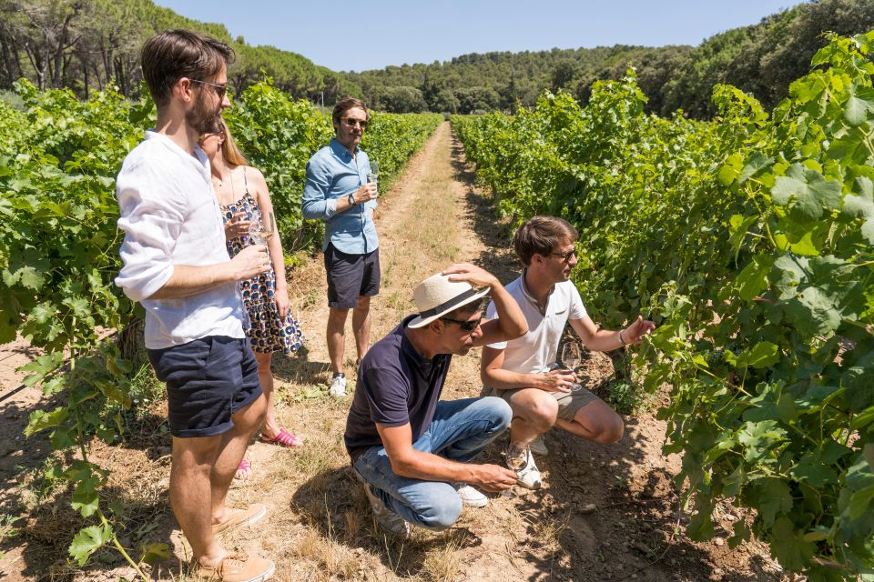 From Avignon: Châteauneuf Du Pape and Luberon Tour With Wine - Exploring Charming Villages