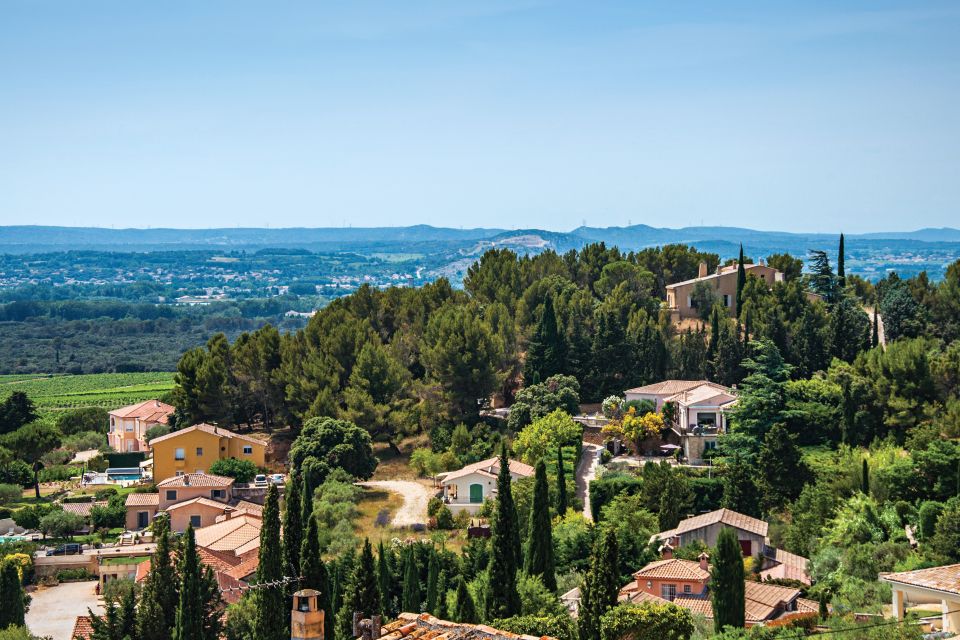 From Avignon: Half-Day Great Vineyards Tour - Tips for Participants