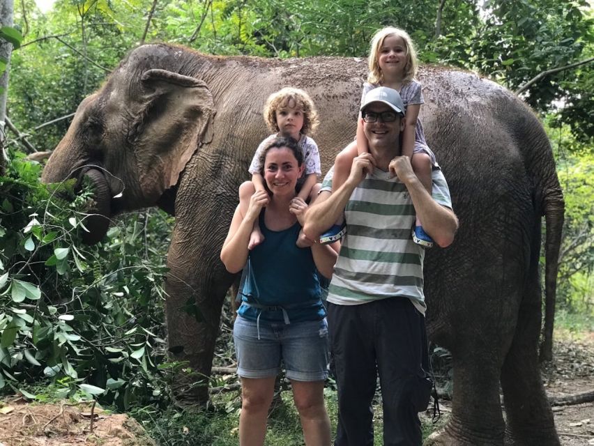 From Bangkok: Pattaya Ethical Elephant Sanctuary Day Trip - Session Options