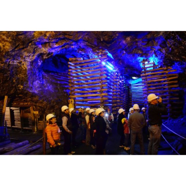 From Bogota: Zipaquira Salt Cathedral - Additional Tour Options