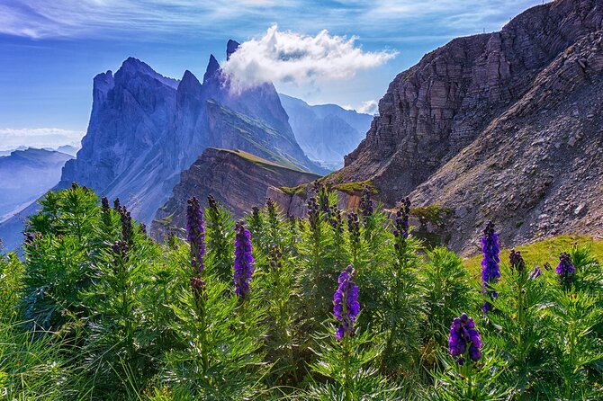 From Bolzano: Private Tour of Dolomites in Mount Seceda and Funes Valley - Accessibility and Participation