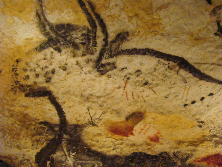 From Bordeaux: Lascaux and Dordogne Valley Private Tour - Customer Reviews