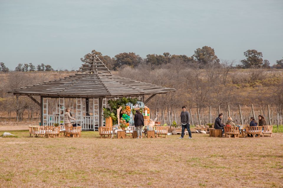 From Buenos Aires: Vineyard Tour With Wine Tasting and Lunch - Accessibility Features