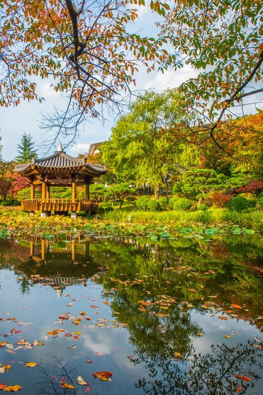 From Busan: Gyeongju Autumn Foliage One Day Tour - Scenic Views and Leisure Time