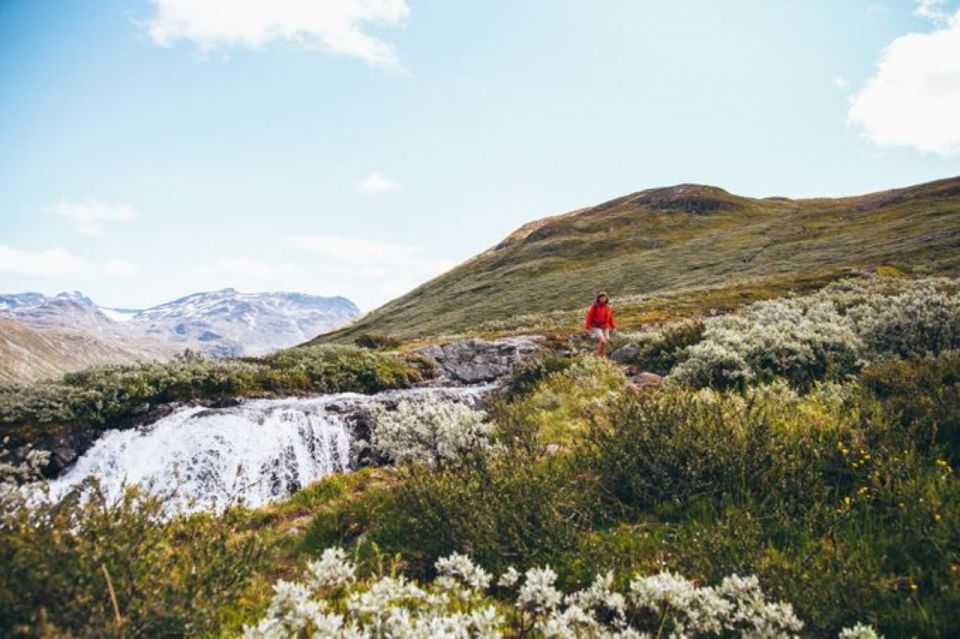 From Bygdin: Hike and Dine in Jotunheimen Tour - Customer Testimonials