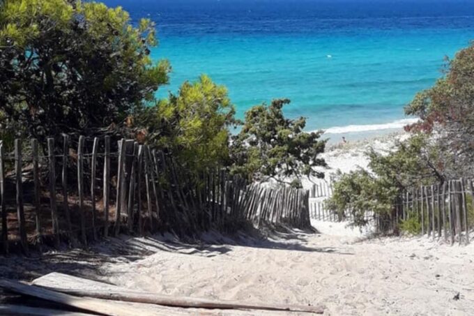 From Calvi: 4x4 Day Tour Mountain & Agriates Saleccia Beach - Booking and Cancellation Policy