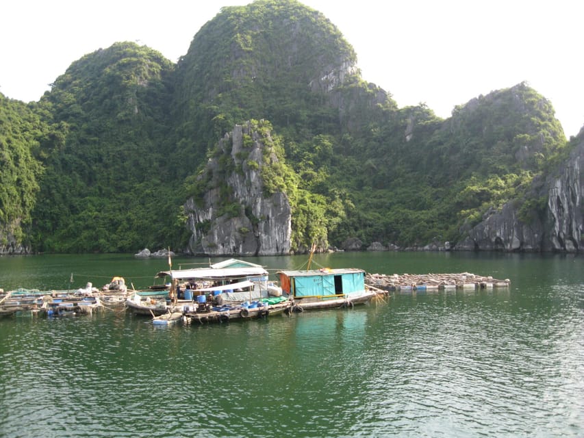 From Cat Ba Island: Private Full Day Fishing Tour Lan Ha Bay - Pricing and Duration