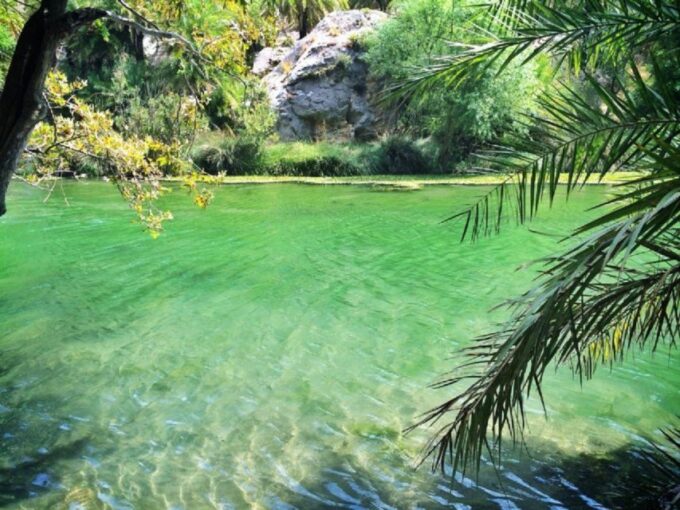 From Chania: Day Trip to Preveli Palm Beach - Additional Fees and Notes