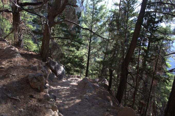 From Chania/Kalyves: Full-Day Samaria Gorge Hiking Day Trip - Challenging Hiking Experience