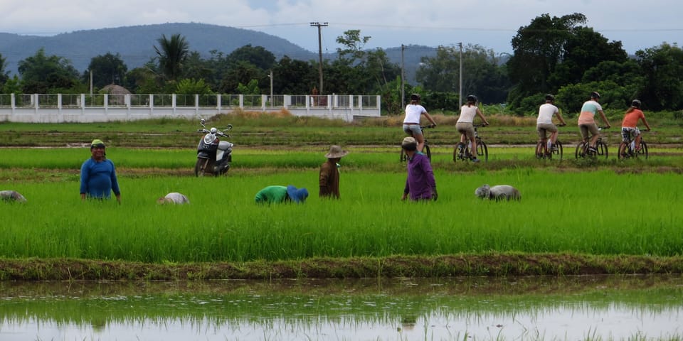 From Chiang Mai: Mae Taeng Valley Hike & Bike Day Trip - Customer Reviews and Ratings