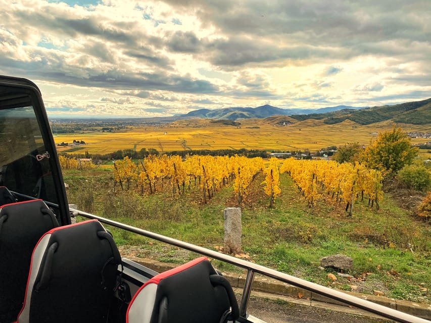 From Colmar: Alsace Medieval and Wine Tasting Day Tour - Scenic Route Overview