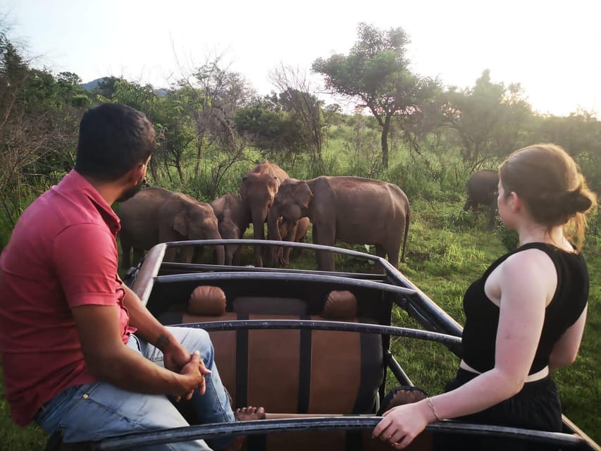 From Colombo: Udawalawe National Park Safari With Lunch - Booking and Payment