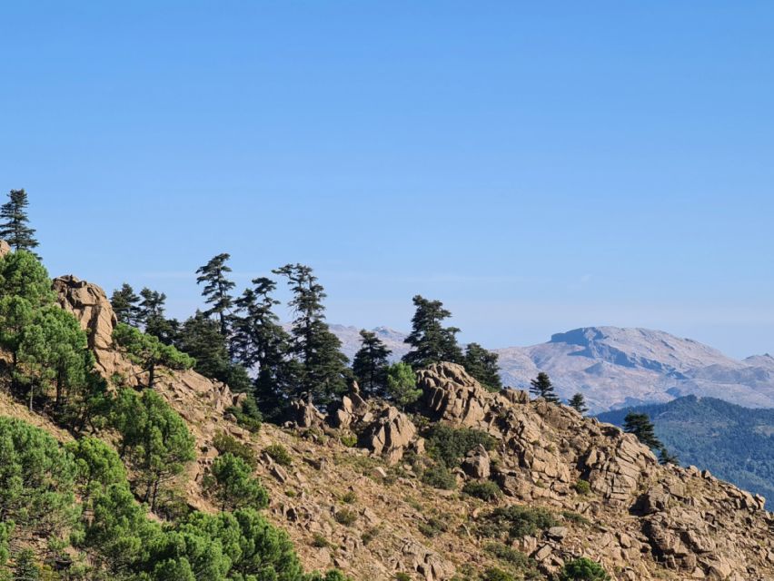 From Costa Del Sol: Sierra Bermeja Private Hiking Tour - Views of Mediterranean and Genal Valley