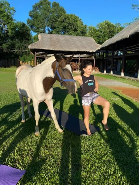 From Da Nang: Half Day Horse Riding and Coconut Boat-Hoi An. - Break Time and Return