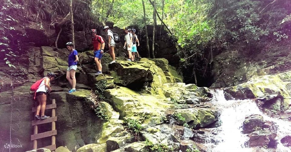 From Da Nang/Hoi An: Bach Ma National Park Day Trip - Park Flora and Fauna