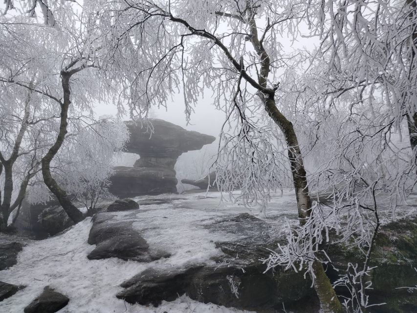 From Dresden: Bohemian & Saxon Switzerland Day Trip - Group Size and Language