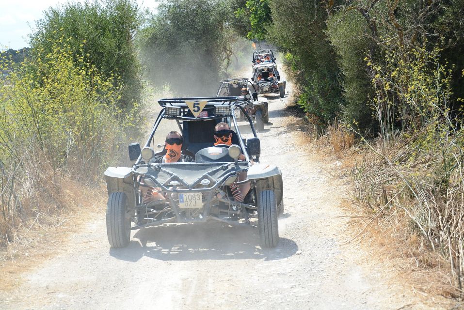 From East Mallorca: Guided Beach and Mountain Buggy Tour - Tour Duration and Price