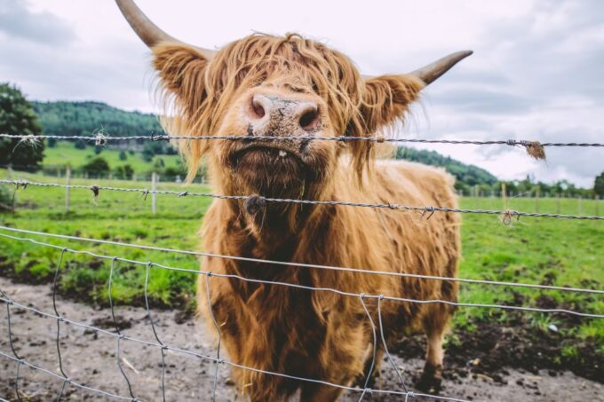 From Edinburgh: Isle of Skye and Outer Hebrides 6-Day Tour - Booking and Cancellation Policies