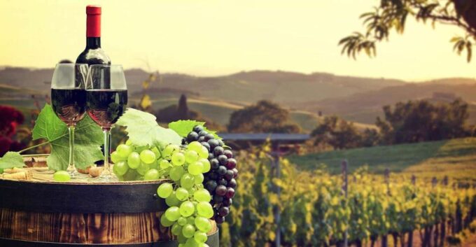 From Granada: Ronda Winery and Sightseeing Tour - Cancellation Policy