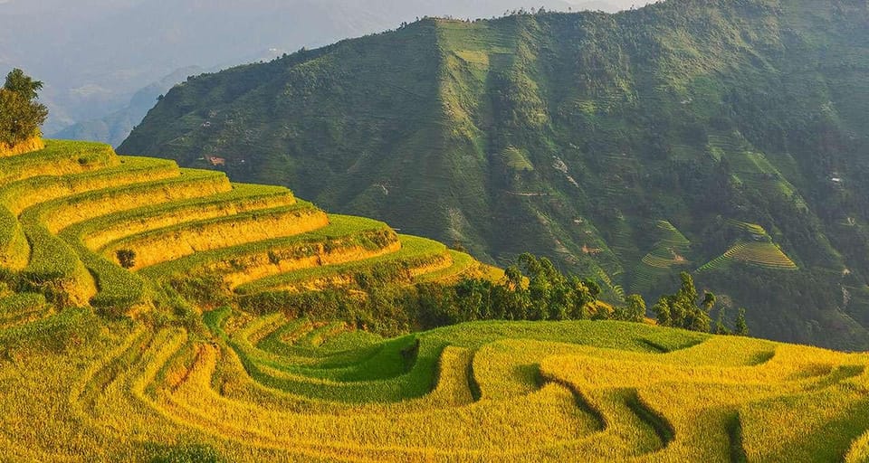 From Ha Noi or Sapa: 2-Day Ha Giang Loop Tour With Rider - Local Cuisine and Beverages