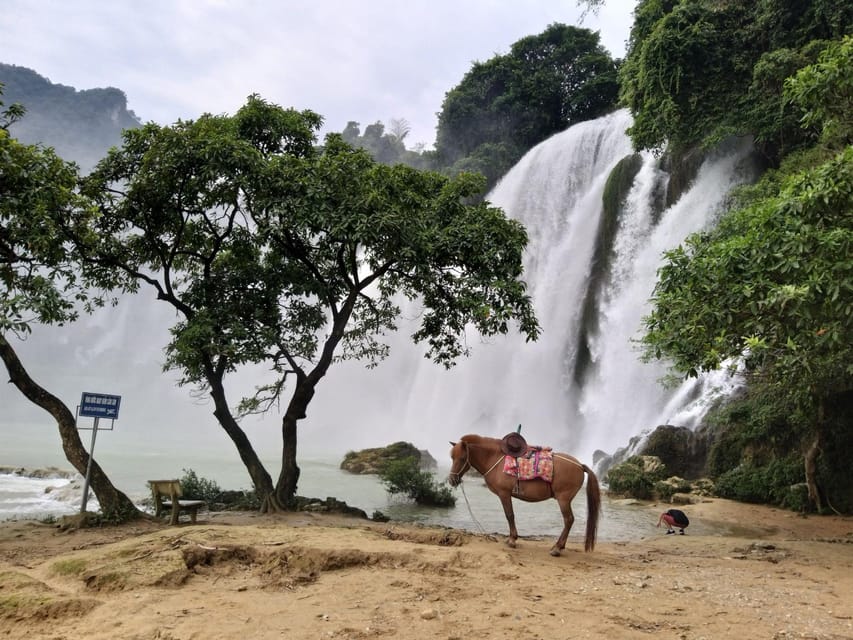 From Hanoi: 2-Day Ban Gioc Waterfall Tour - Small Group - Customer Reviews