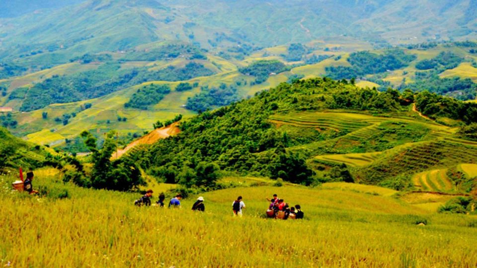 From Hanoi: 2-Day Overnight Sapa Tour by Limousine - Customer Feedback