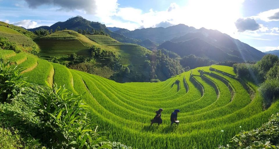 From Hanoi: 2-Day Sapa Town Hiking Tour & Homestay With Food - Customer Reviews