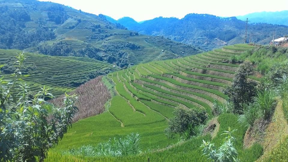 From Hanoi: 2 Day Sapa Trekking To Village & Bungalow - Customer Experiences