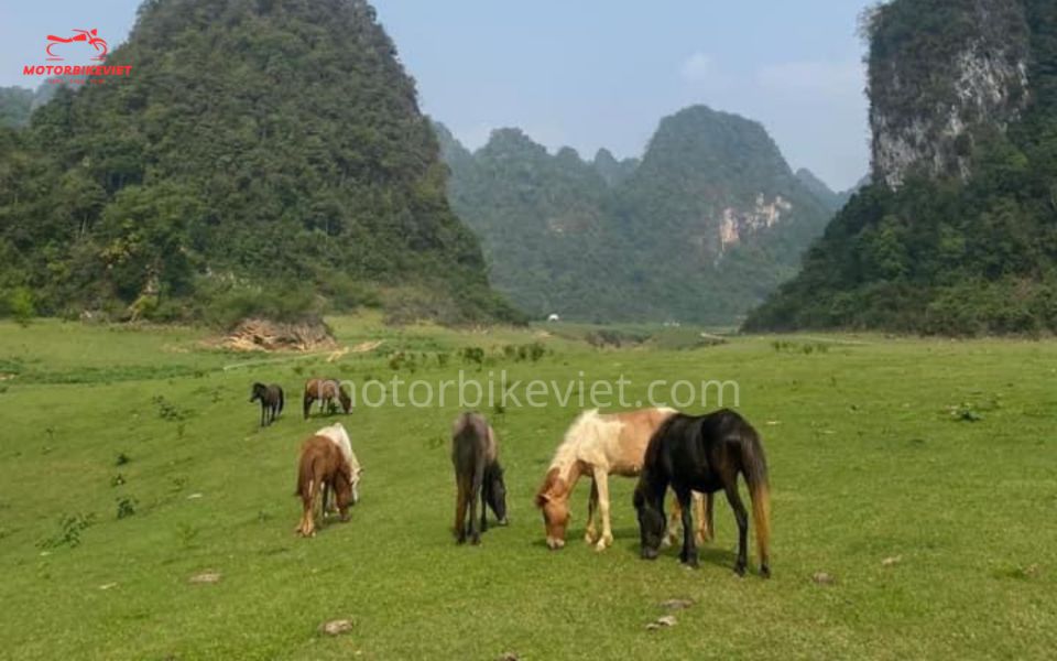 From Hanoi: Caobang Loop 3 Days 2 Nights Motorbike Tour - Inclusions and Exclusions