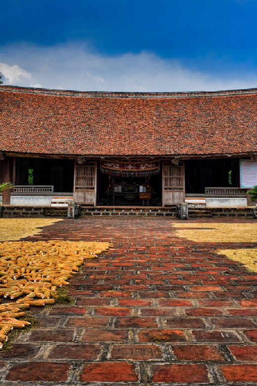 From Hanoi: Duong Lam Ancient Village Day Tour With Lunch - Insights Into Local Lifestyle and Farming