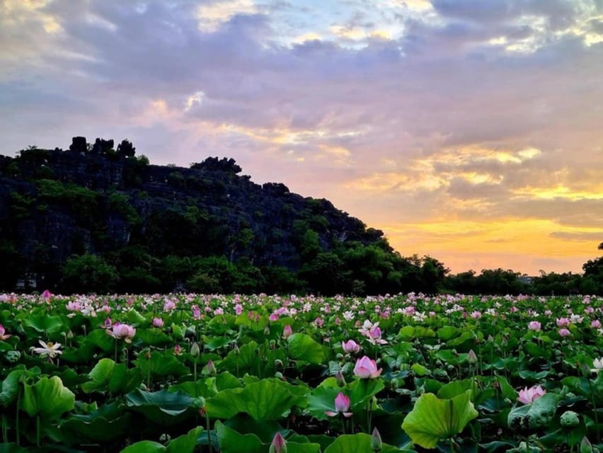 From Hanoi: Ninh Binh – Bai Dinh & Trang An & Mua Cave Tour - Culinary Delights