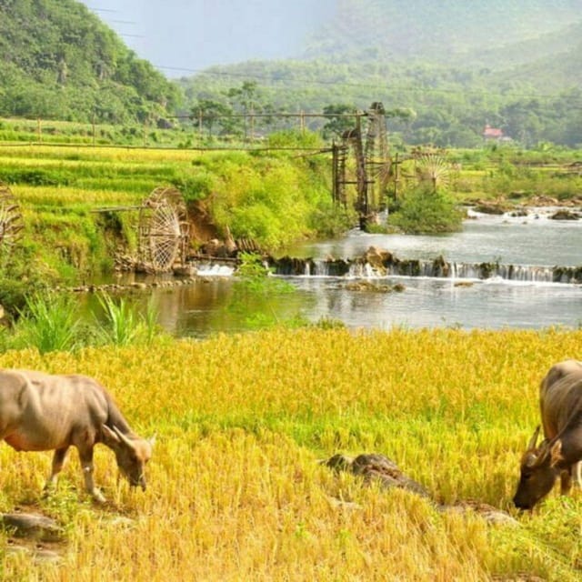 From Hanoi: Pu Luong Jungle Ride Motorbike 3D2N - Discovering Pu Luong Nature Reserve