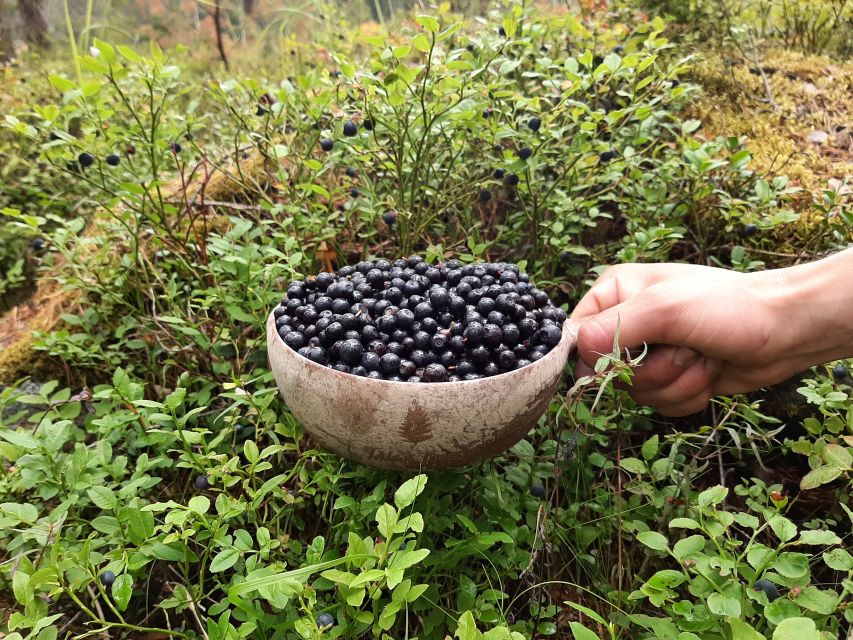 From Helsinki: Berry Picking Day Trip in a National Park - Participant Requirements and Restrictions