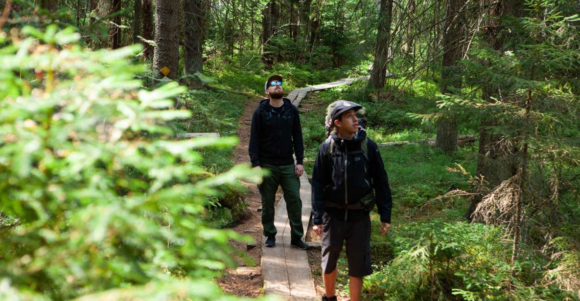 From Helsinki: Magical Taiga Hike in Liesjärvi National Park - Seasonal Nature Exploration