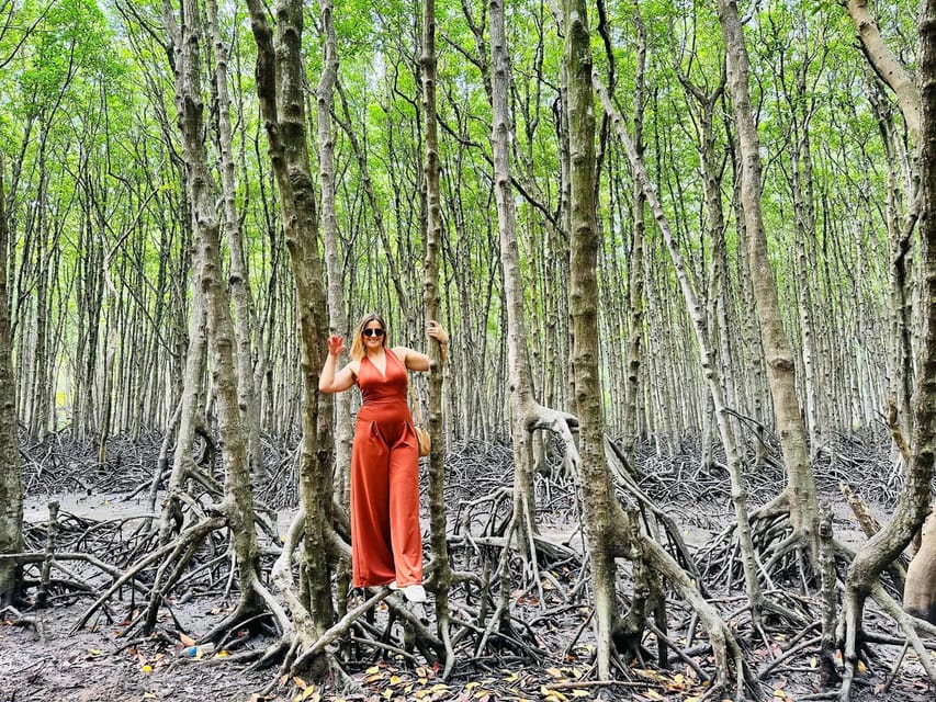 From Ho Chi Minh: Can Gio Mangrove Forest - Pickup Locations