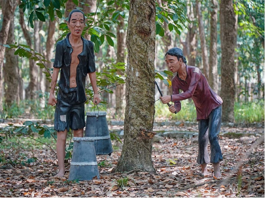 From Ho Chi Minh: Long Tan Nui Dat Battle Field Private Tour - Historical Background