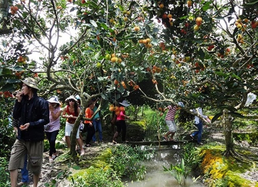 FROM HO CHI MINH: OVERVIEW MEKONG DELTA 1 DAY - Traditional Music and Activities