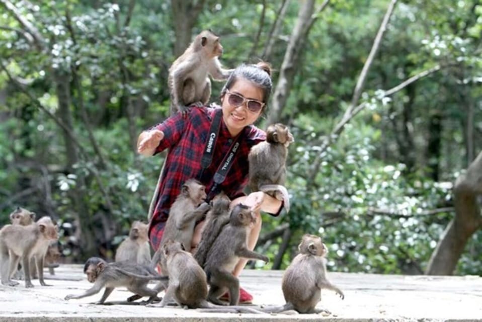 From Ho Chi Minh: Private Can Gio-Vam Sat Mangrove Forest - Afternoon Activities