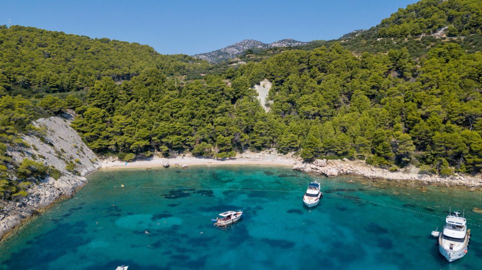 From Hvar: Hvar South and Pakleni Islands Private Boat Tour - Mlini and Ždrilca Beaches