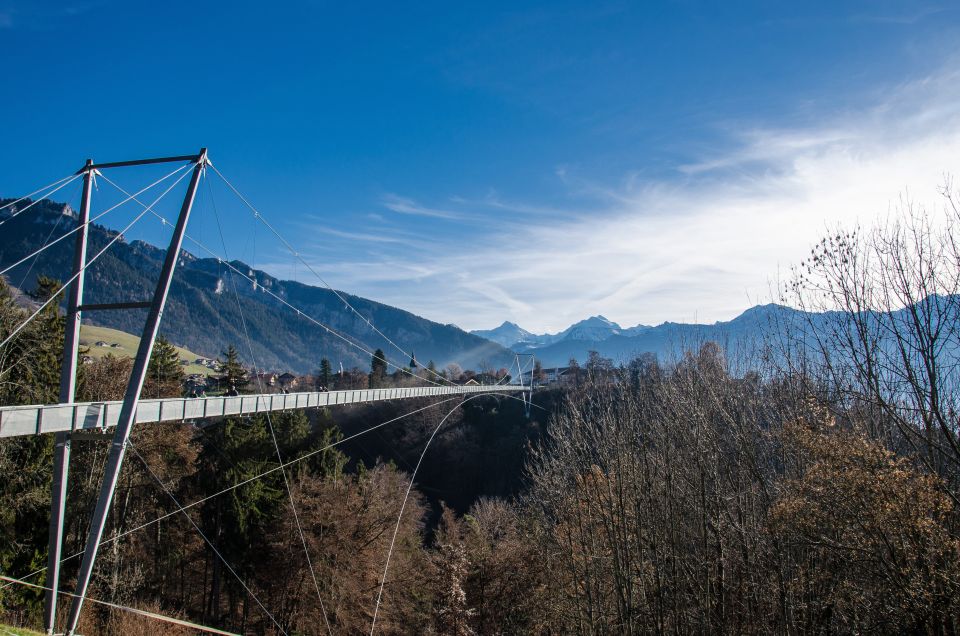 From Interlaken: Beatus Caves, Blue Lake and Lake Thun Tour - Scenic Lake Thun Cruise